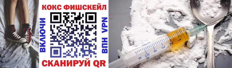 как найти   Новосиль  COCAIN Fish Scale 