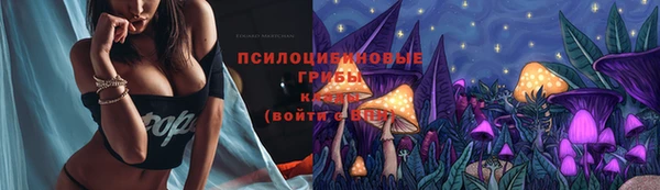 тгк Нея