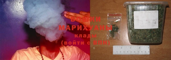 тгк Нея