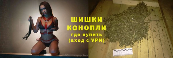 тгк Нея
