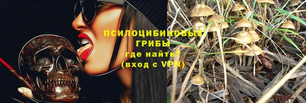 тгк Нея