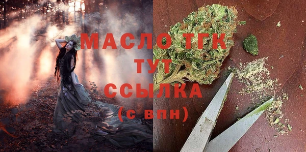 тгк Нея